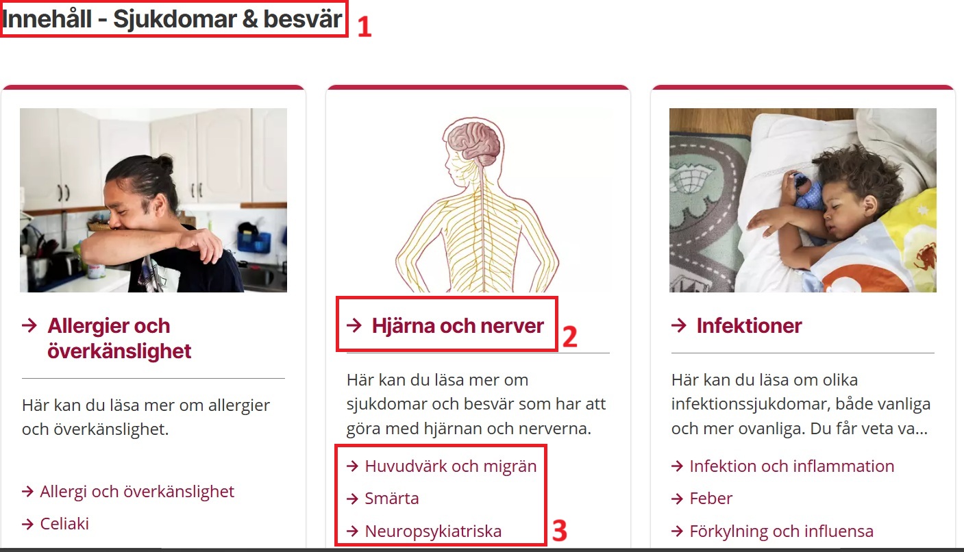 Bild på sektionssidan Sjukdomar och besvär