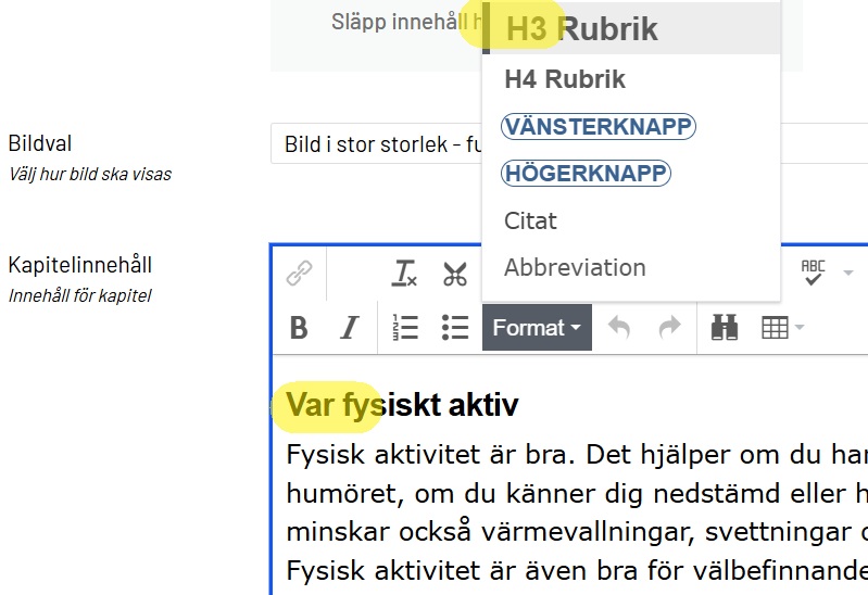 Bilden visar var man väljer format till rubrik i Opti.