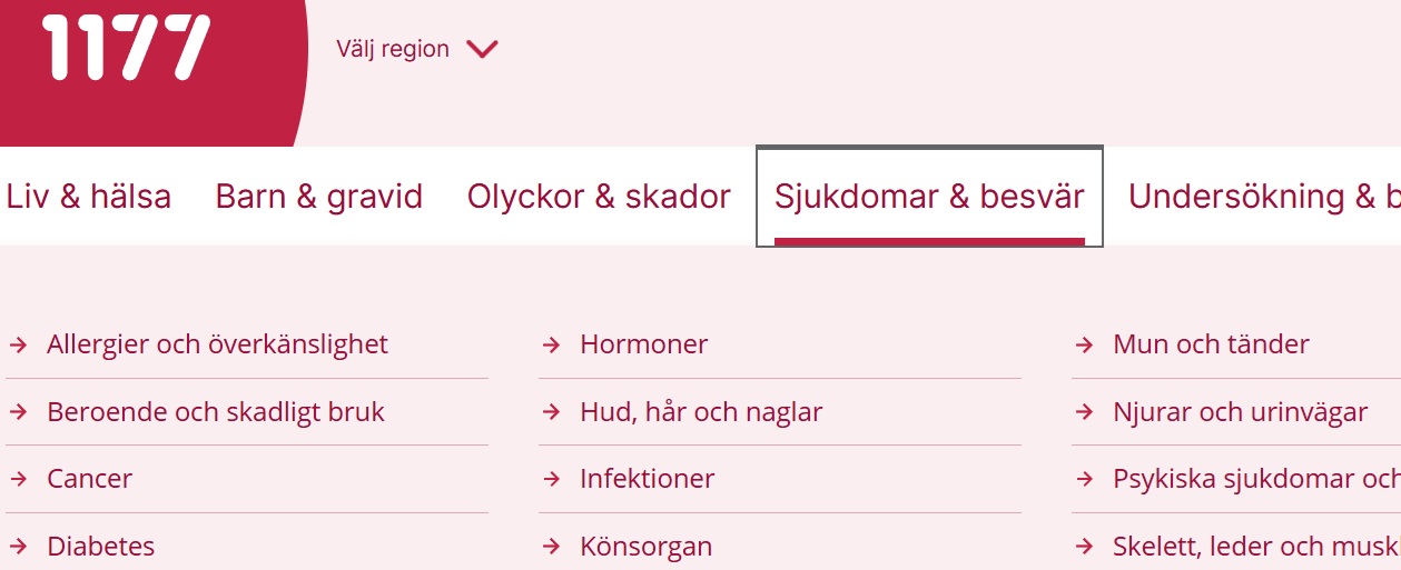 Bild på toppmenyn utfälld.