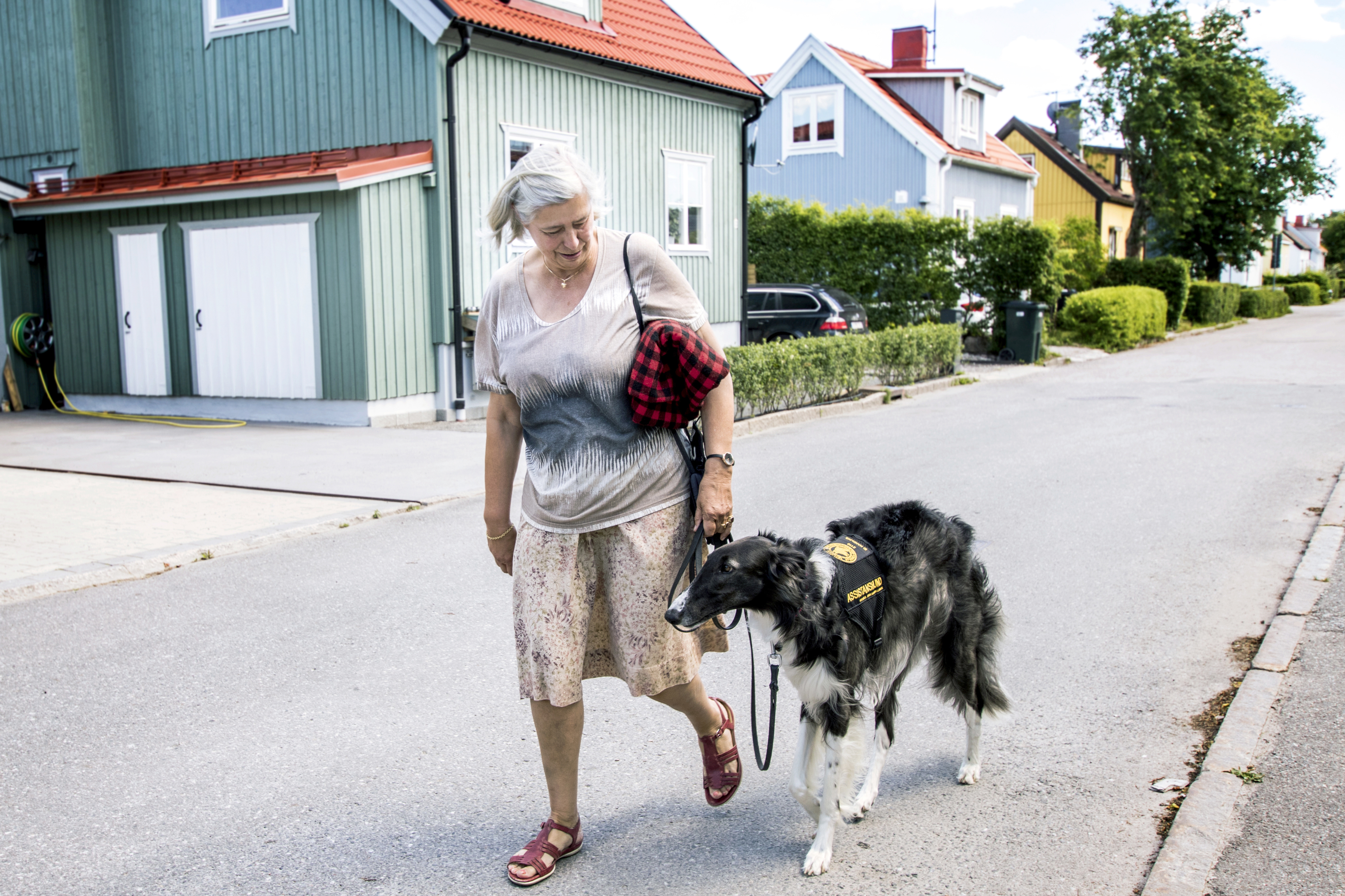 En person går ute med en ledarhund.