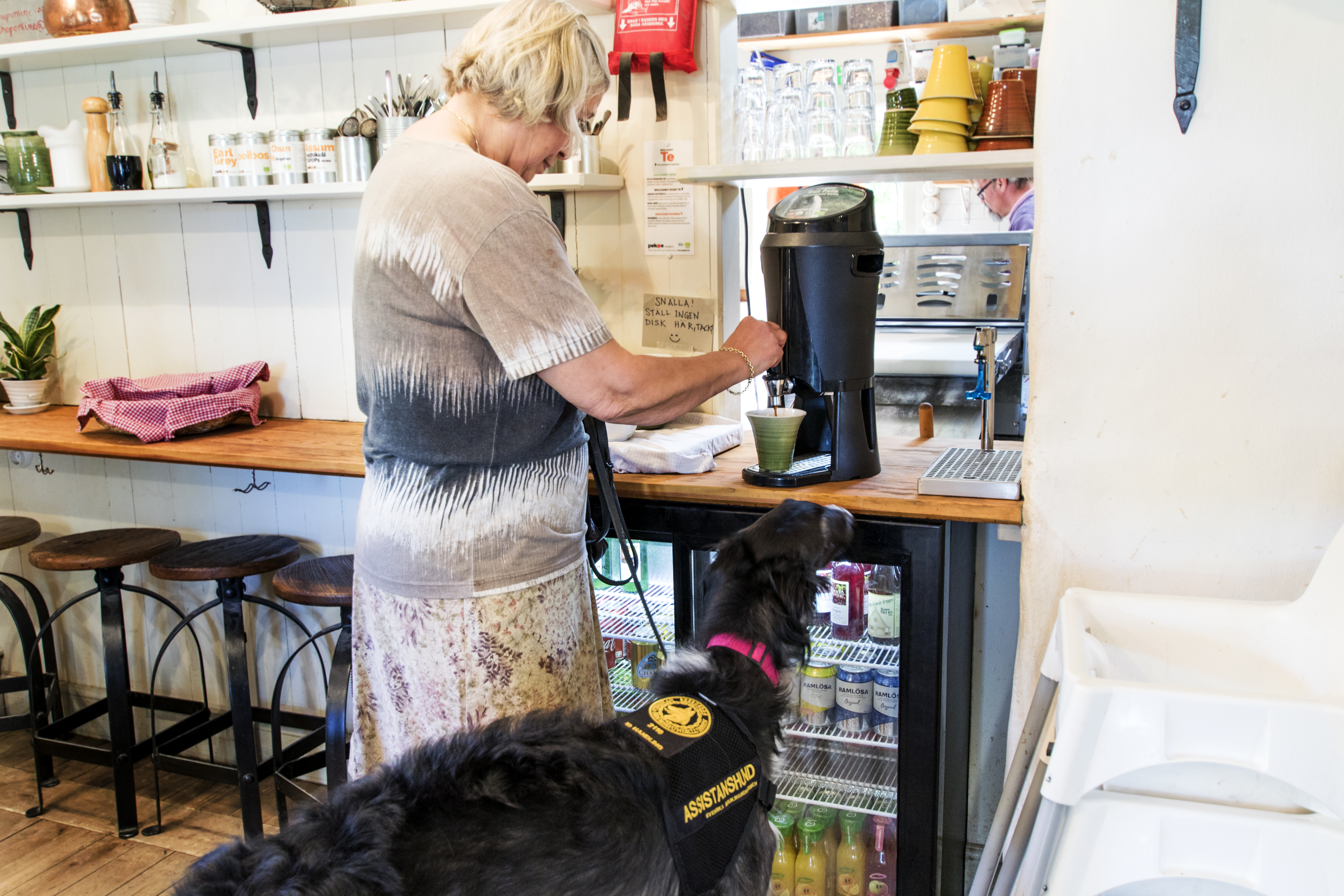 En person har en ledarhund med sig inne på ett café.