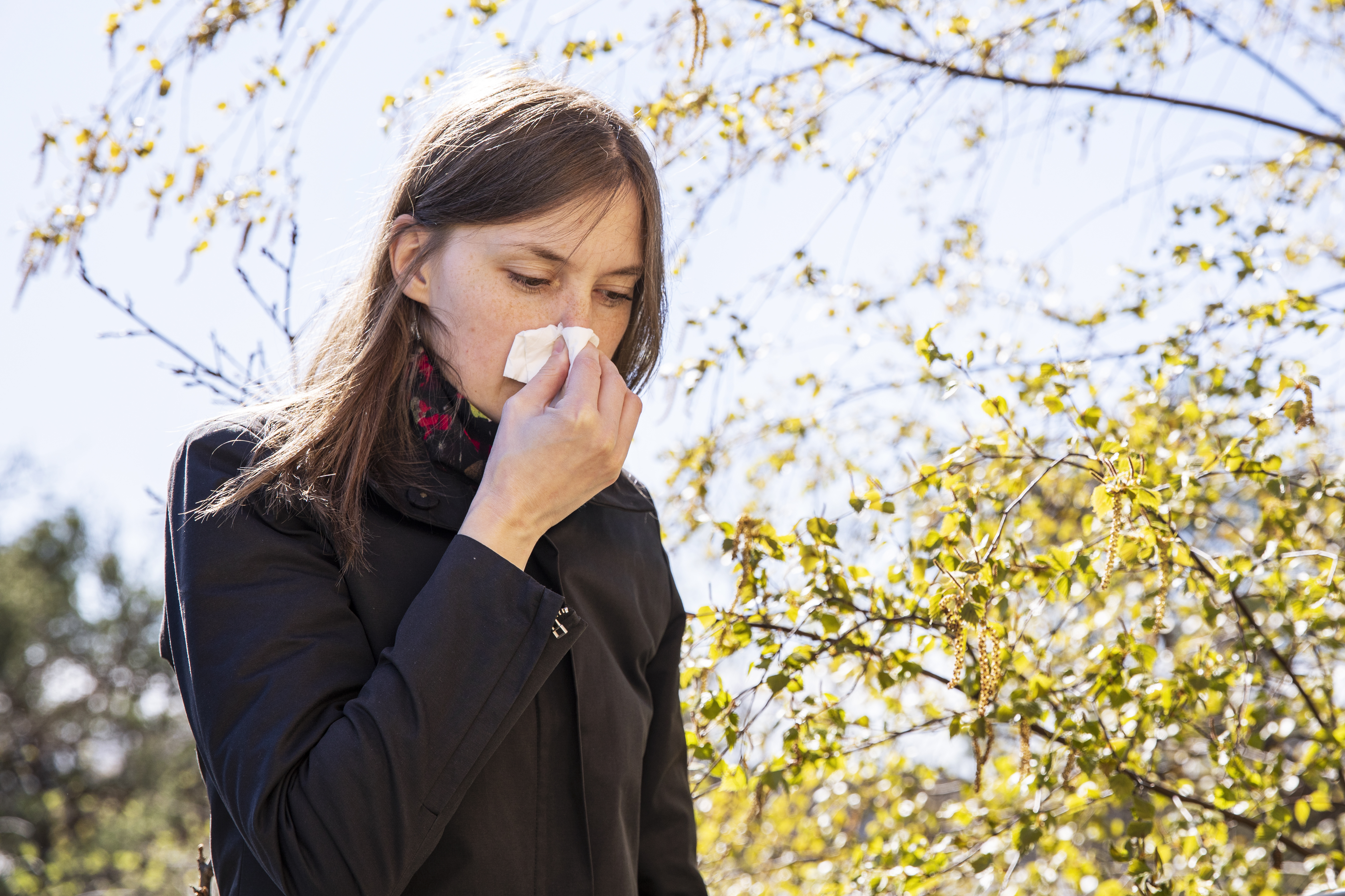 Pollenhalterna i luften varierar från dag till dag, men även mellan olika år.
