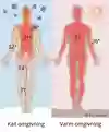 En kropp med temperatur vid kall omgivning och en kropp vid varm omgivning. Illustration.