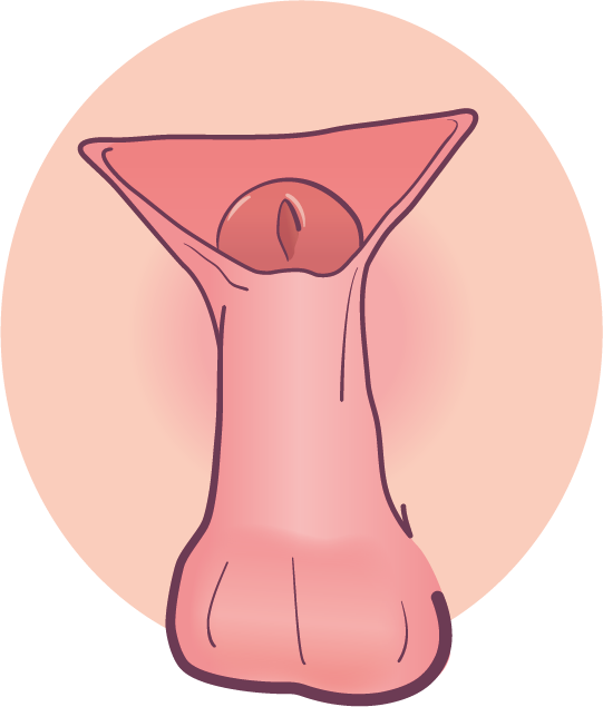 Qizlar külot almashtirish video