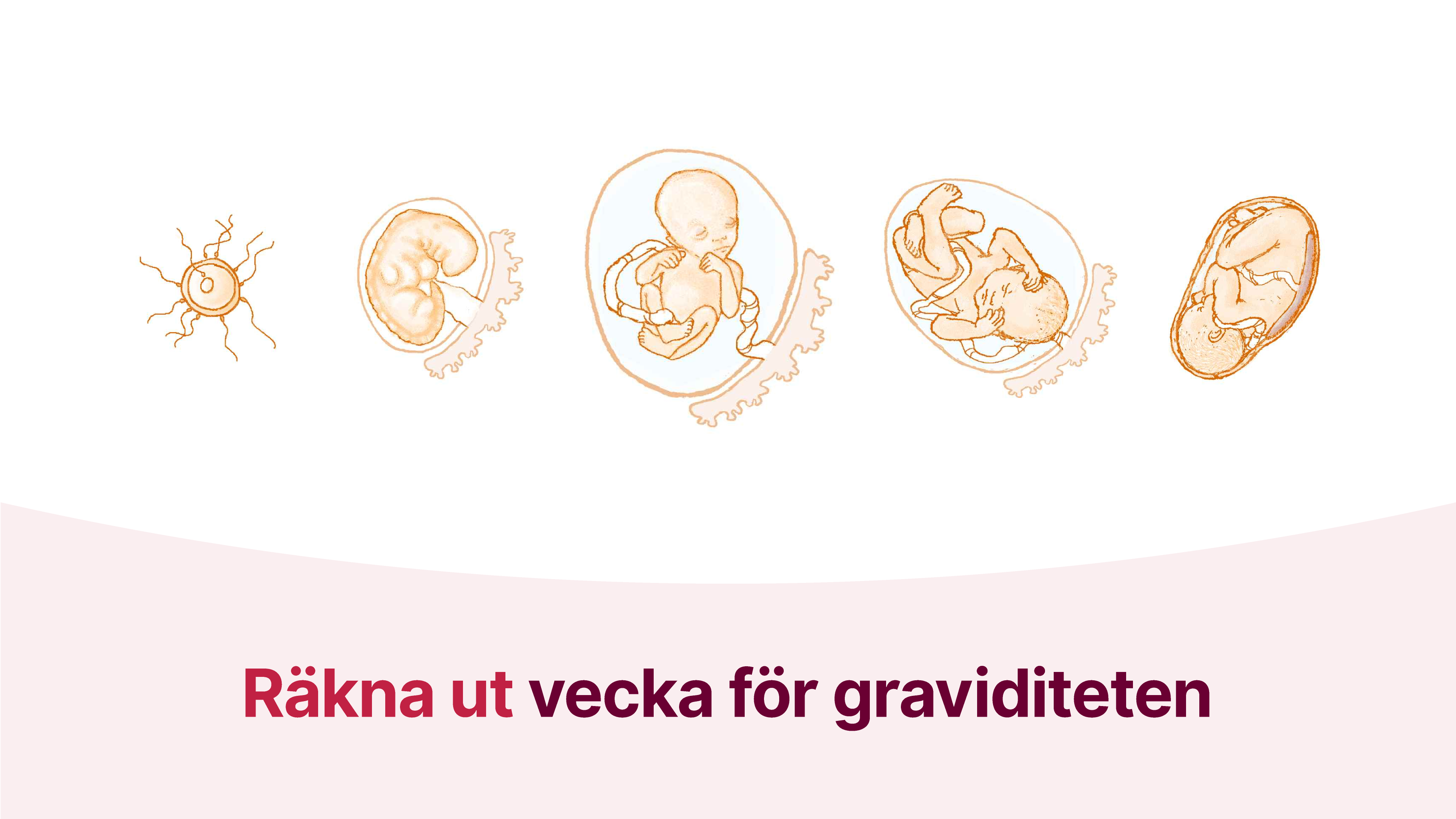 Exempelbild innehåll väntrums-tv