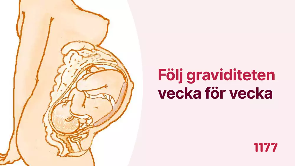 Exempelbild innehåll väntrums-tv