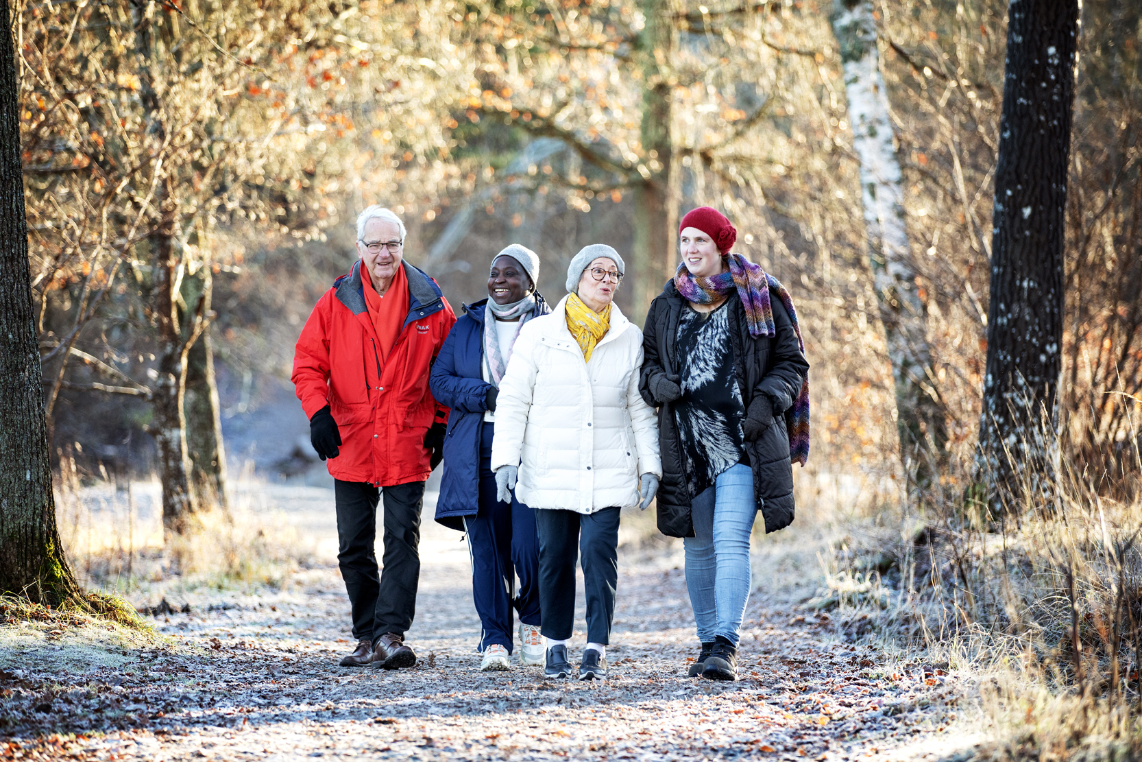 Äldre människor som promenerar tillsammans