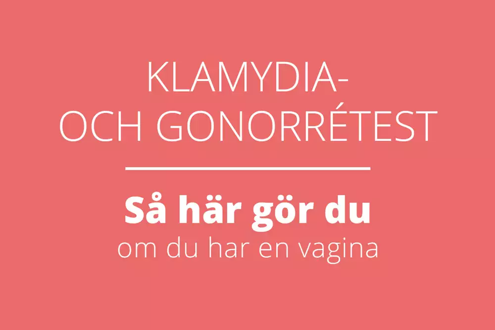 Textskylt med texten: Klamydia- och gonorrétest. Så här gör du om du har en vagina.