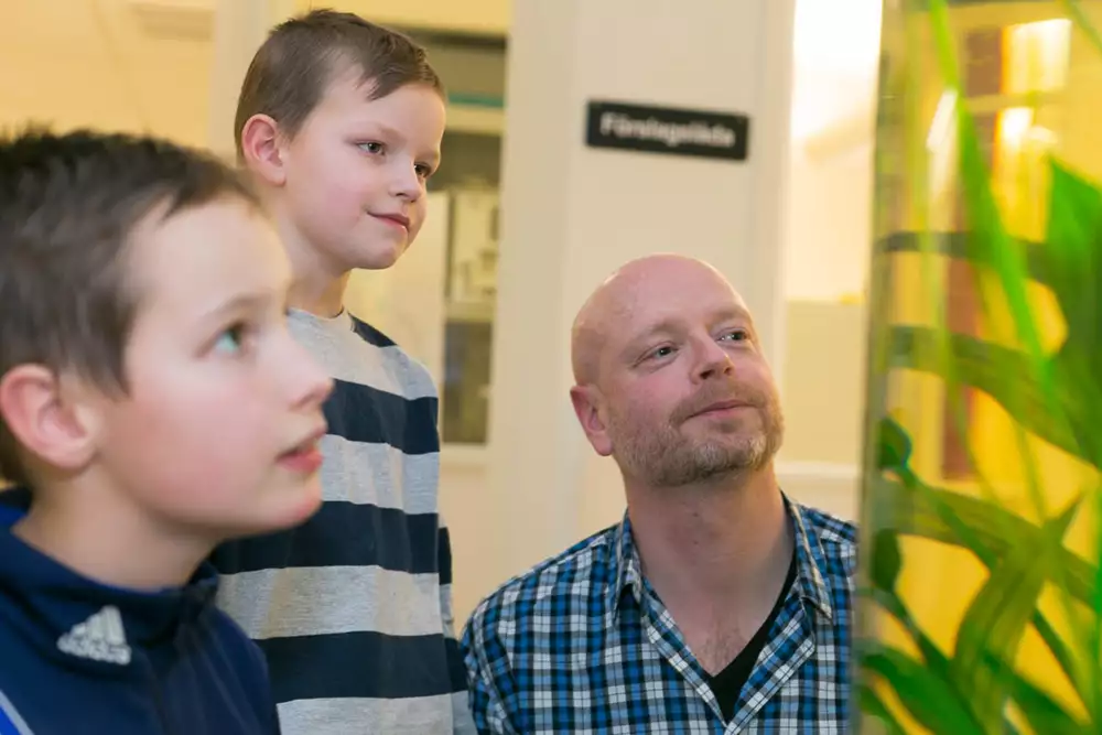 En vuxen person tittar på ett akvarium tillsammans med två barn.