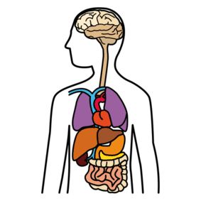 Illustration på en patient