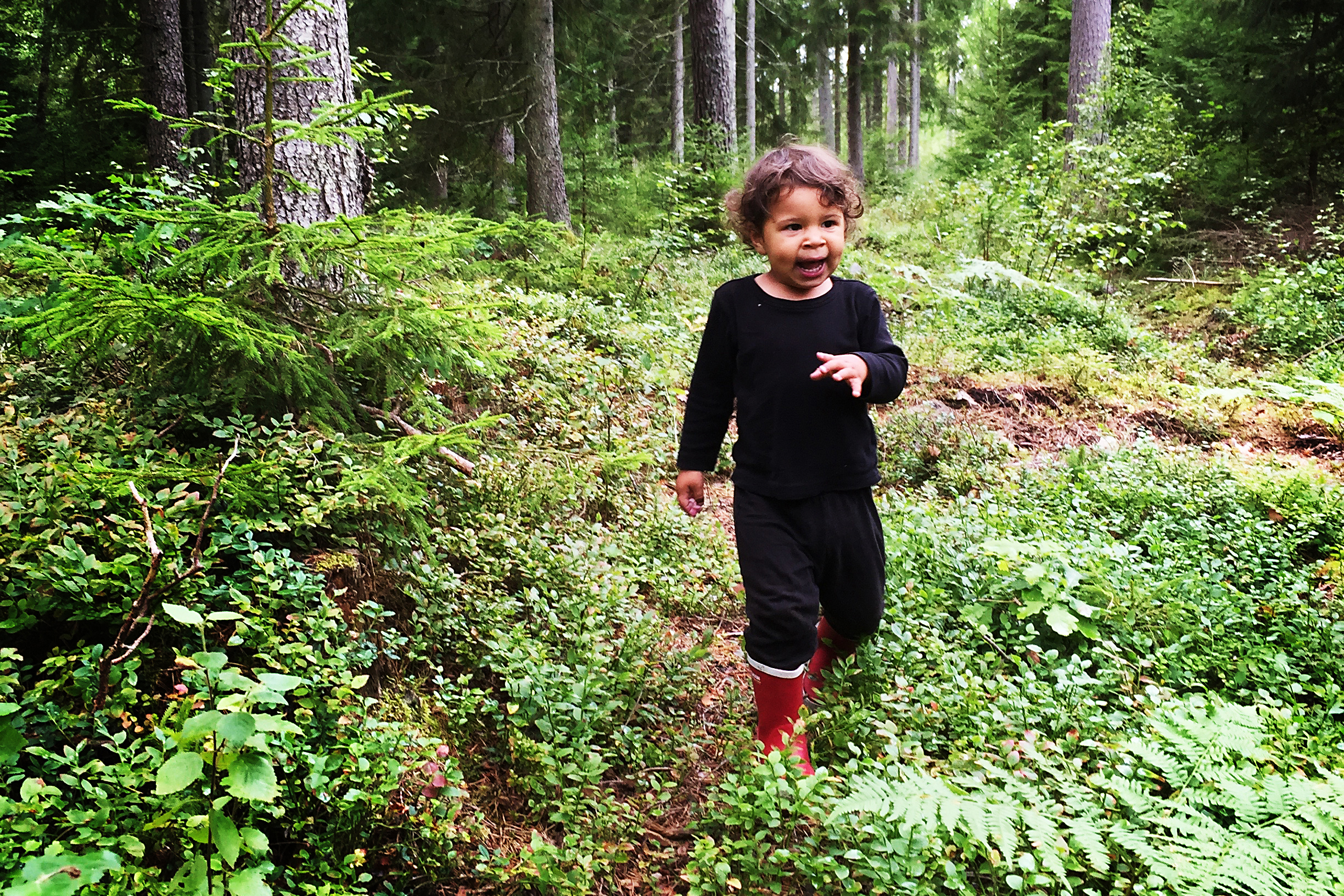 Barn som går i skogen.