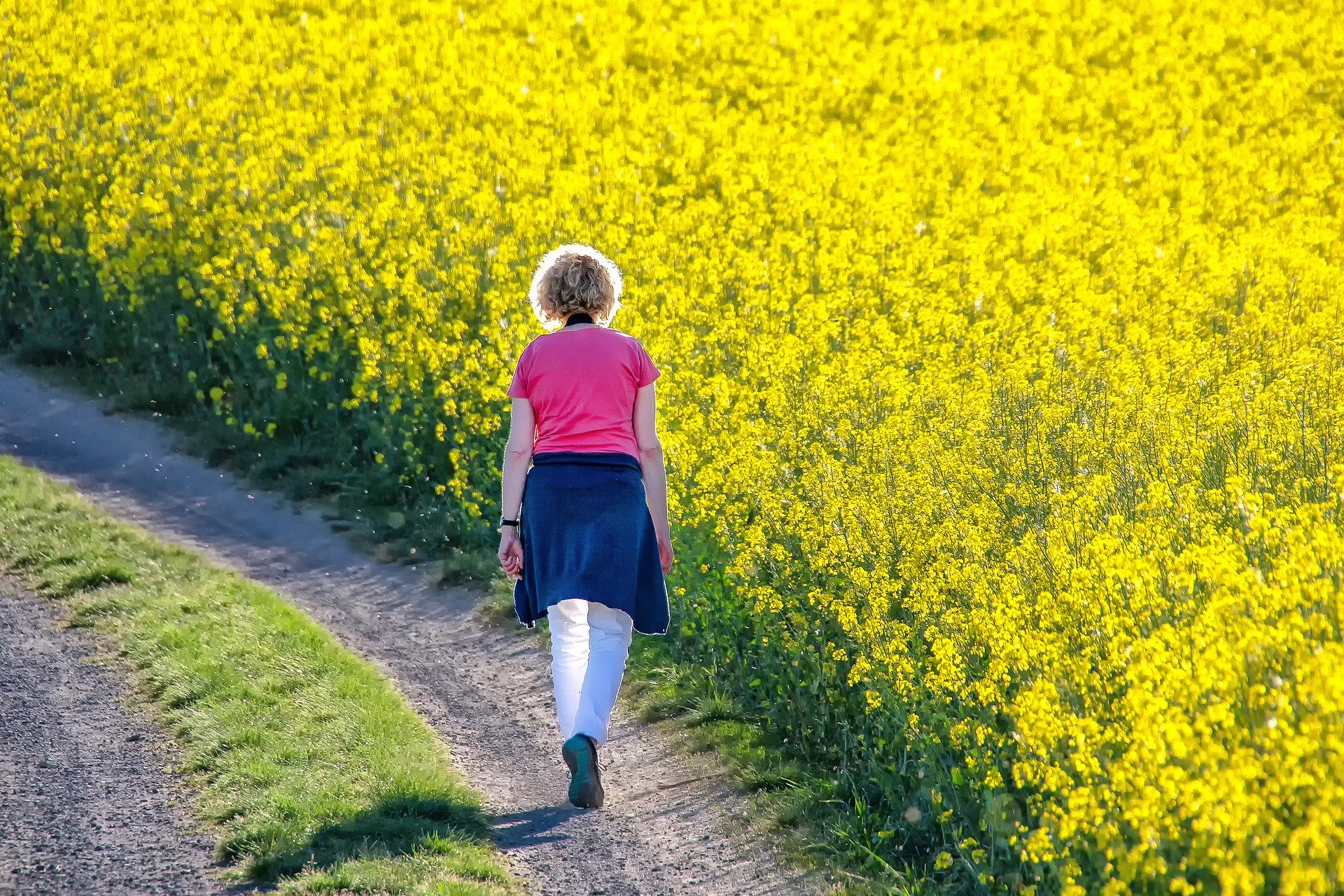 Kvinna promenerar invid gult rapsfält