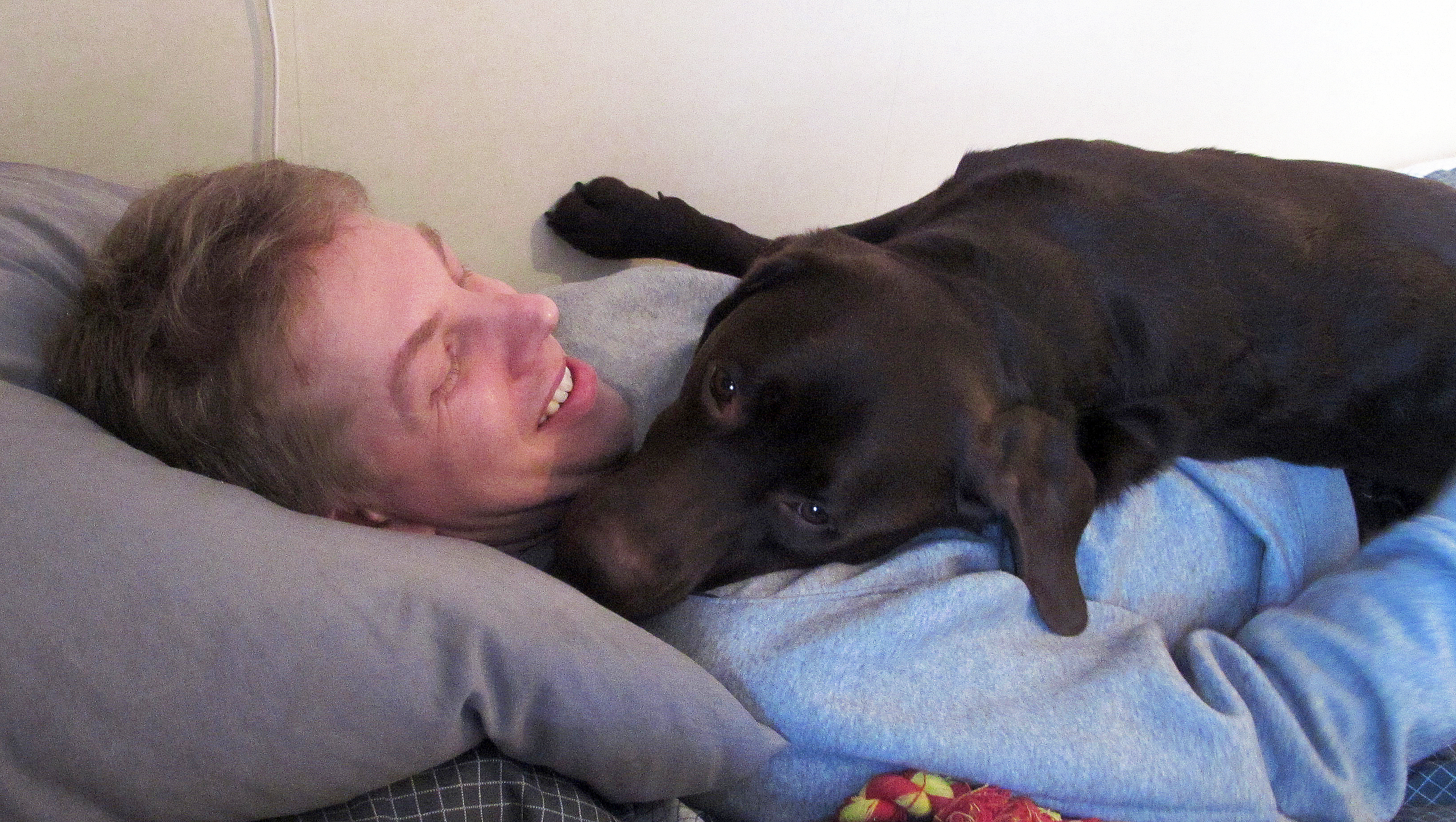 Labradoren Utz och Henrik ligger i sängen och myser tillsammans.